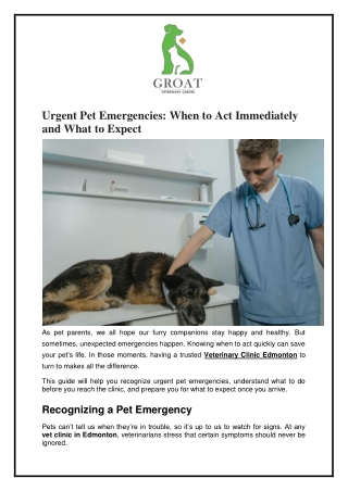 Urgent Pet Emergencies When to Act Immediately and What to Expect