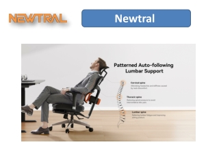 Office Chair with Good Lumbar Support — Ergonomic Chair for Home Office