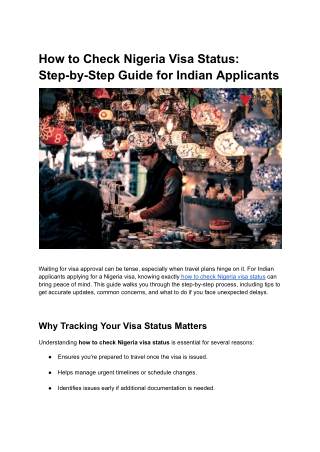 How to Check Nigeria Visa Status