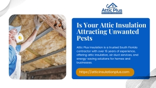 Stop Pests from Invading Your Attic with Better Insulation