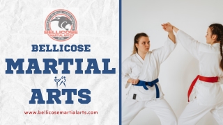 Brazilian Jiu Jitsu at Bellicose Martial Arts
