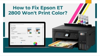How to Fix Epson Printer ET 2800 Won't Print Color