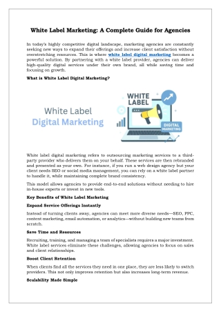 White Label Digital Marketing Services | Scalable Solutions for Agencies