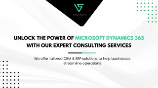 Vastasys - Microsoft Dynamic 365 Consulting Services