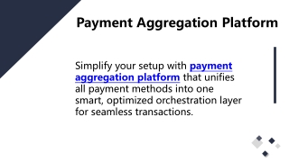 Payment Aggregation Platform