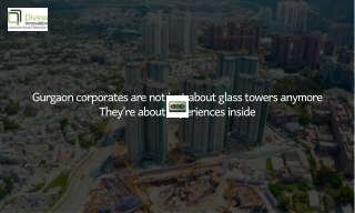 Cost-Effective Real Estate Office Interiors in Gurgaon | Divine Innovation