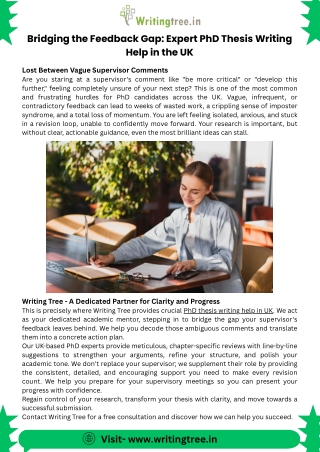 Bridging the Feedback Gap: Expert PhD Thesis Writing Help in the UK