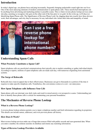 Determining Spam Calls: The Significance of Reverse Phone Search For