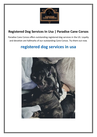 Registered Dog Services In Usa  Paradise Cane Corsos