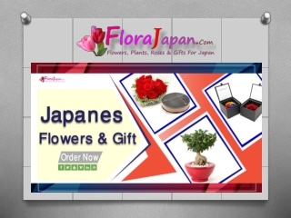 Send Birthday Gifts To Japan