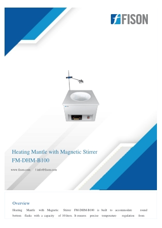 Heating Mantle with Magnetic Stirrer FM-DHM-B100