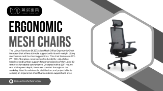 ergonomic mesh chairs