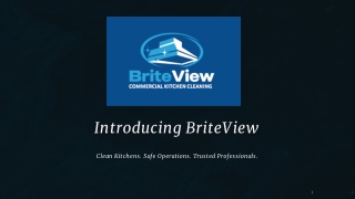 Trusted Commercial Kitchen Hood Cleaning in Nashville | BriteView Hood Services