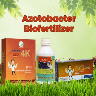 Azotobacter Biofertilizer – Boost Your Crop’s Natural Growth with Anand Agro Car