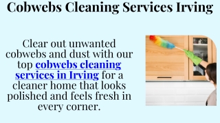 Cobwebs Cleaning Services Irving