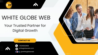 White Globe Web – Complete Digital Marketing Solutions