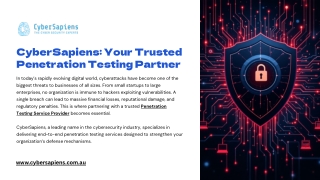 CyberSapiens Your Trusted Penetration Testing Partner