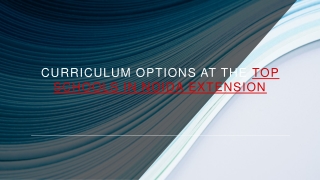 Curriculum Options at the Top Schools in Noida Extension_