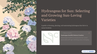Hydrangeas-for-Sun-Selecting-and-Growing-Sun-Loving-Varieties