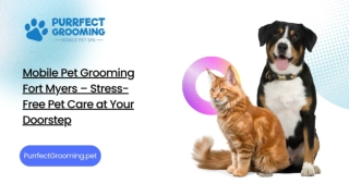 Mobile Pet Grooming Fort Myers – Stress-Free Pet Care at Your Doorstep