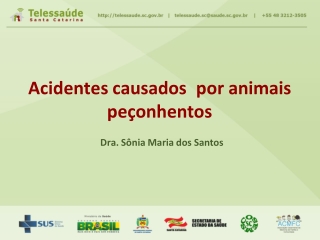Slides - Acidentes causados por animais peçonhentos