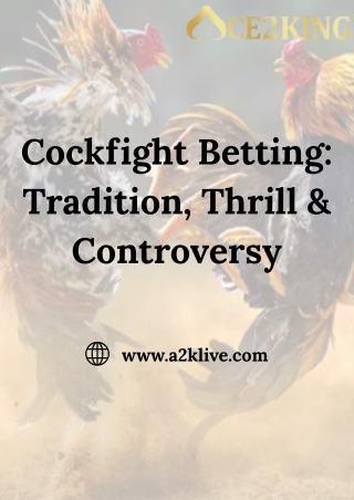 Cockfight Betting: Tradition, Thrill & Controversy