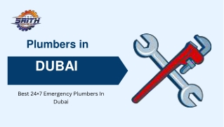 Why You Shouldn’t Delay Plumbing Repairs in Dubai