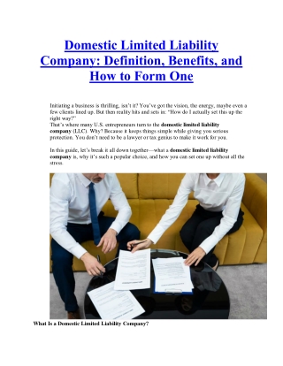 Domestic Limited Liability Company