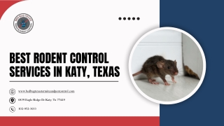 Best Rodent Control Services in Katy, Texas