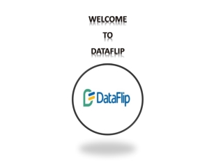 DataFlip