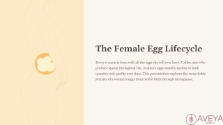 Egg Lifecycle: How Many Eggs Does a Woman Have and When Do They Run Out?