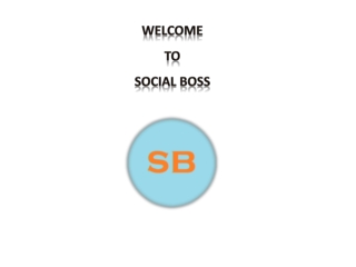 SocialBoss