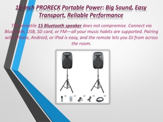15 inch PRORECK Portable Power Big Sound Easy Transport Reliable Performance