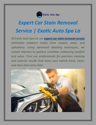 Expert Car Stain Removal Service | Exotic Auto Spa La