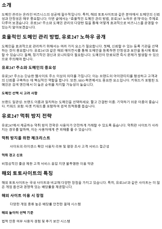 효율적인 도메인 관리 방법, 유로247 노하우 공개