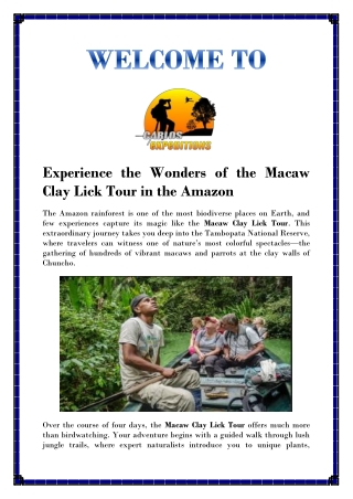 Macaw Clay Lick Tour