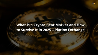 What is a Crypto Bear Market and How to Survive It in 2025 – Platinx Exchange