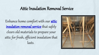 Attic Insulation Removal Service