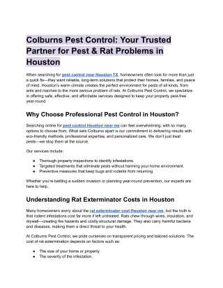 Your Trusted Partner for Pest & Rat Problems in Houston