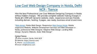 Best Web Design Company in Noida, Delhi NCR : Tsence