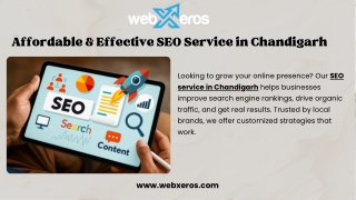 Affordable & Effective SEO Service in Chandigarh