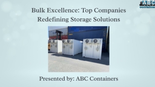 Bulk Excellence: Top Companies Redefining Storage Solutions