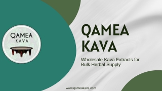 Wholesale Kava Extracts for Bulk Herbal Supply
