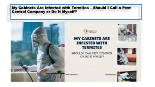 My Cabinets Are Infested with Termites – Should I Call a Pest Control Company or Do It Myself.docx