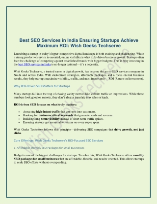 Best SEO Services in India Ensuring Startups Achieve Maximum ROI