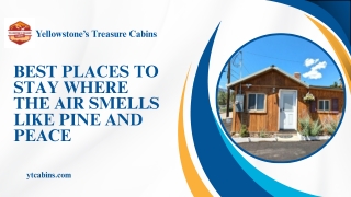 Best Places to Stay Where the Air Smells Like Pine and Peace