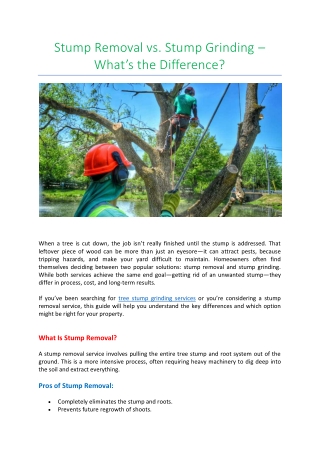 Stump Removal vs. Stump Grinding – What’s the Difference?