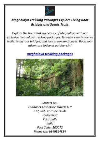 Meghalaya Trekking Packages Explore Living Root Bridges and Scenic Trails