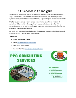 PPC Services in Chandigarh
