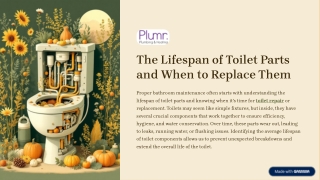 The Lifespan of Toilet Parts and When to Replace Them